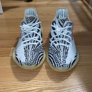zebras size 10